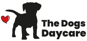 The Dogs Day Care